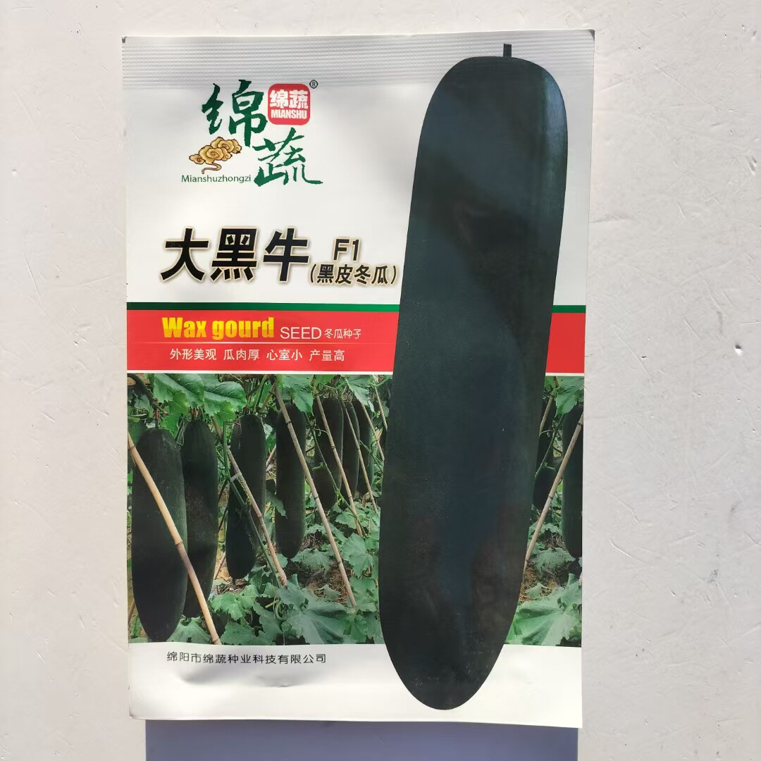 大黑牛大冬瓜种子种籽大巨型高产菜东瓜四季蔬菜孑抗病高产蔬菜籽