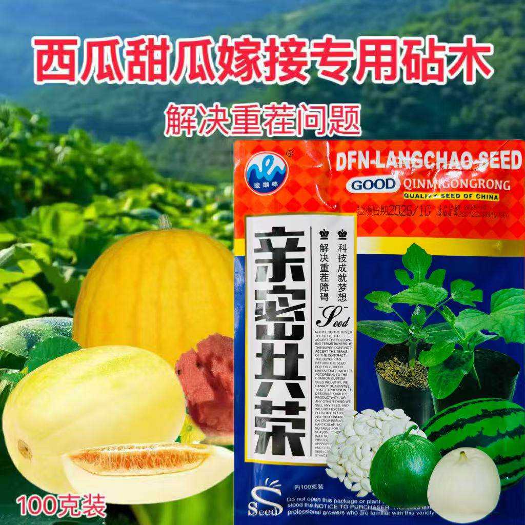 亲密共荣西瓜甜瓜嫁接新品种南瓜嫁接专用种子高产生长速度快