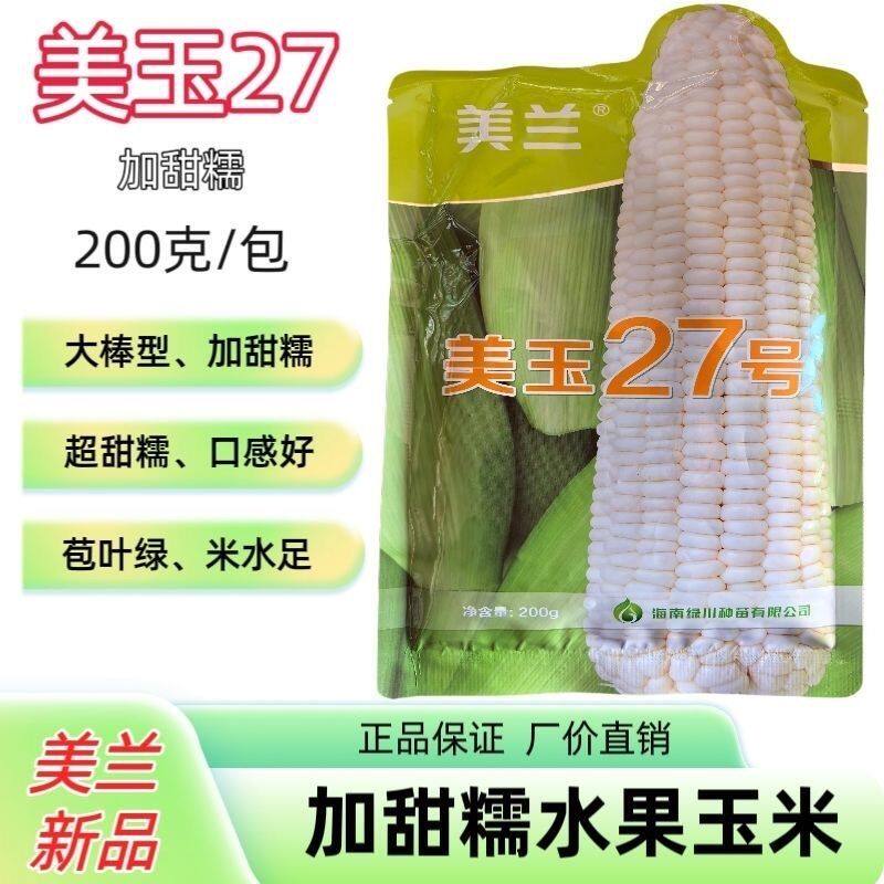 美玉27糯玉米种子美兰国审矮杆大棒甜糯早熟白糯27号玉米种子籽孑