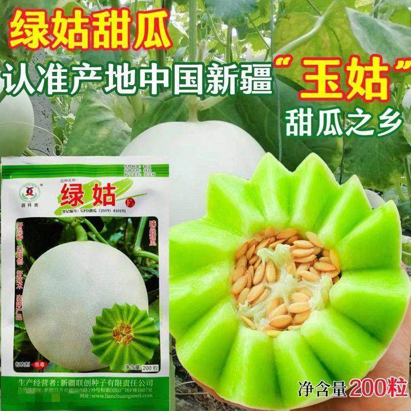 绿姑甜瓜种子高产抗病白皮绿肉春秋高圆甜脆香瓜种子200粒