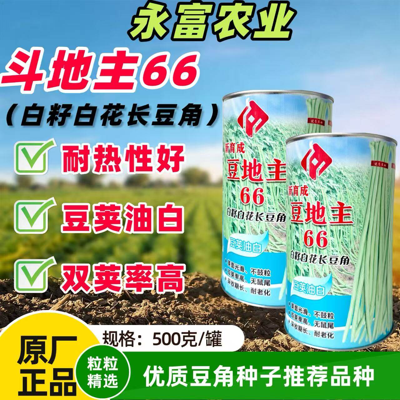 豆地主66油白长豆角种子耐热好白籽白花豇豆无鼠尾双荚率高甜豆角