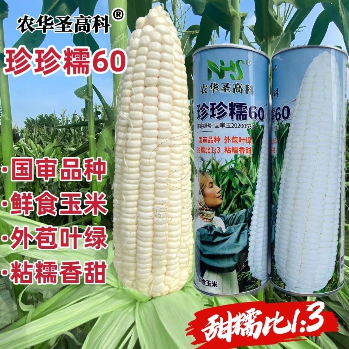 珍珍糯60玉米种子鲜食粘