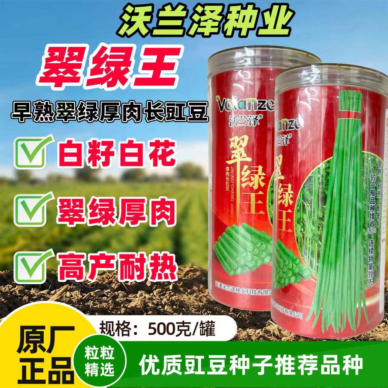沃兰泽翠绿王豇豆种子长豆角种子 油绿翠绿抗病高产芸豆角大田播