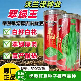 沃兰泽翠绿王豇豆种子长豆角种子 油绿翠绿抗病高产芸豆角大田播