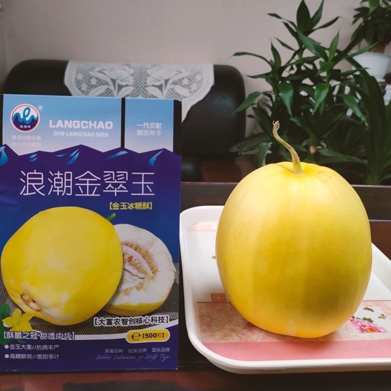 浪潮金翠玉甜瓜种子薄皮