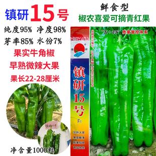 镇研15号辣椒种子早熟薄皮椒泡椒牛角椒种籽春夏秋季大椒菜椒种孑