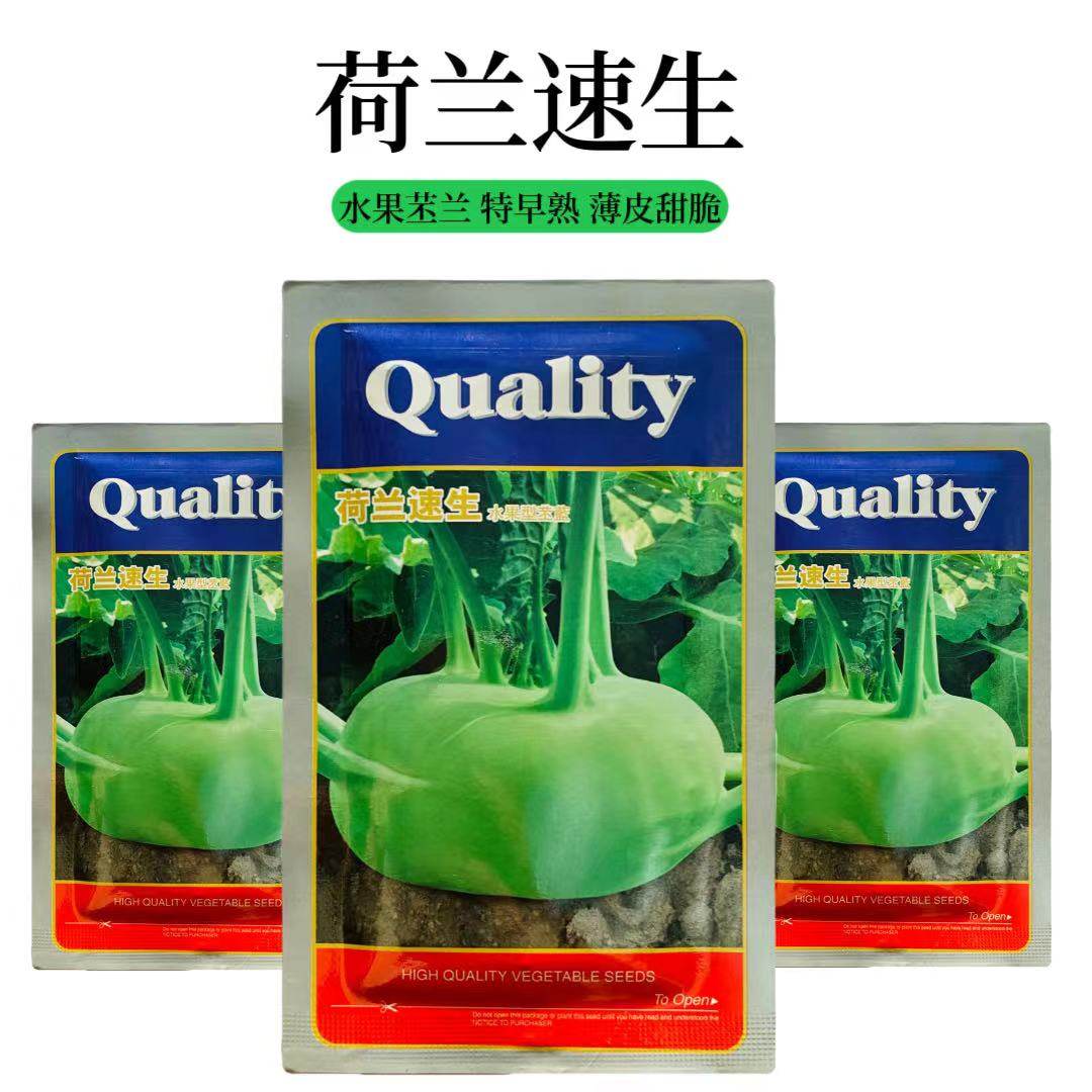 荷兰速生水果苤蓝种子扁球形青苤兰种子芥兰头芥蓝春秋季蔬菜种子,鲜花速递/花卉仿真/绿植园艺,家庭园艺种子,淘宝优惠券,粉丝福利购,淘宝优惠卷