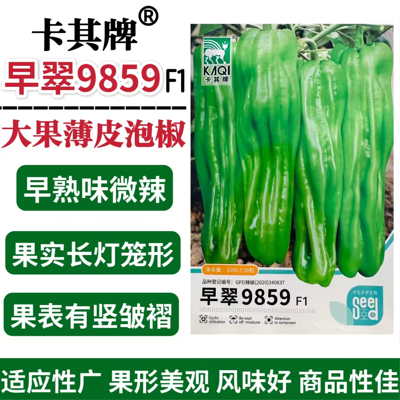 早翠9859辣椒种子早熟大果薄皮泡椒种籽微辣青红两用长灯笼形辣椒
