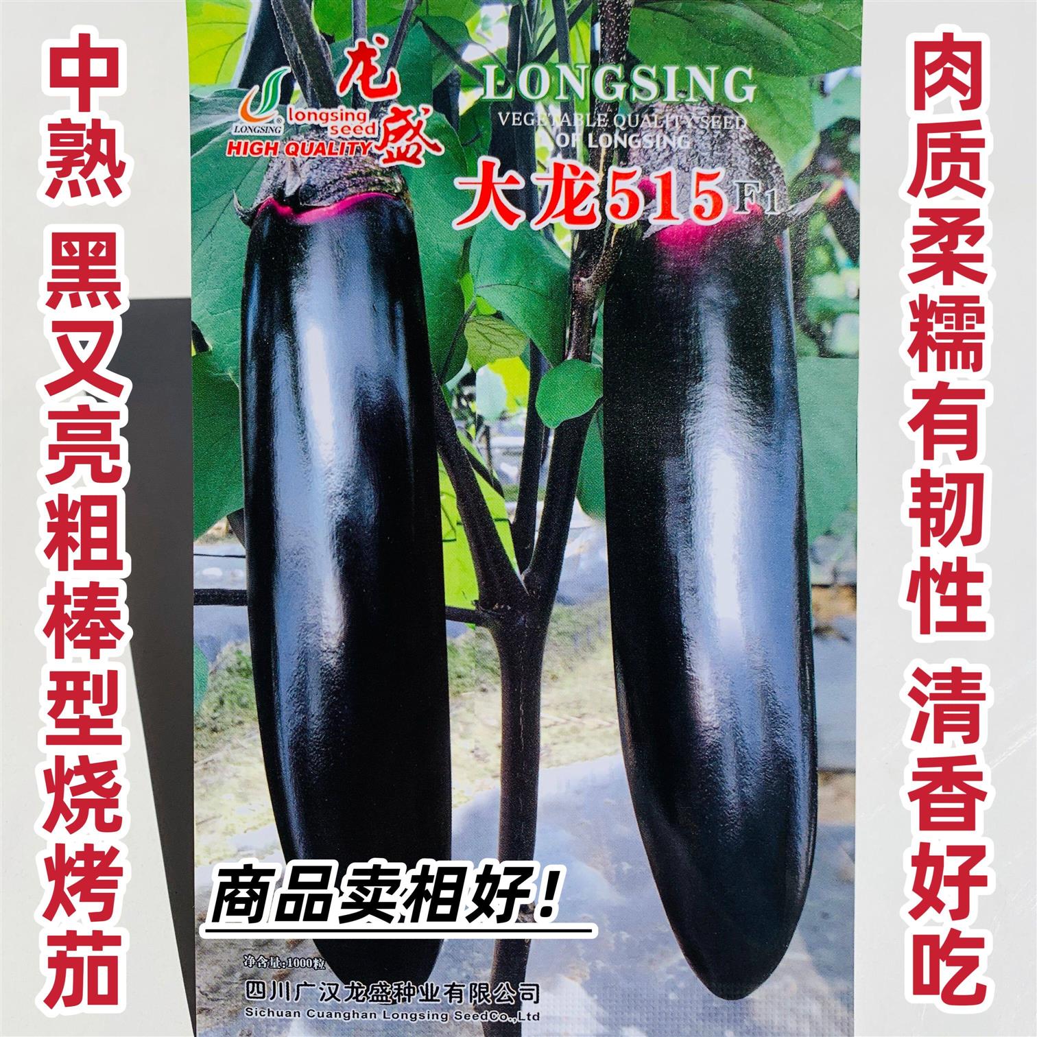四川大龙515烧烤茄种子黑又亮粗棒型茄子种子春秋两用棒茄籽