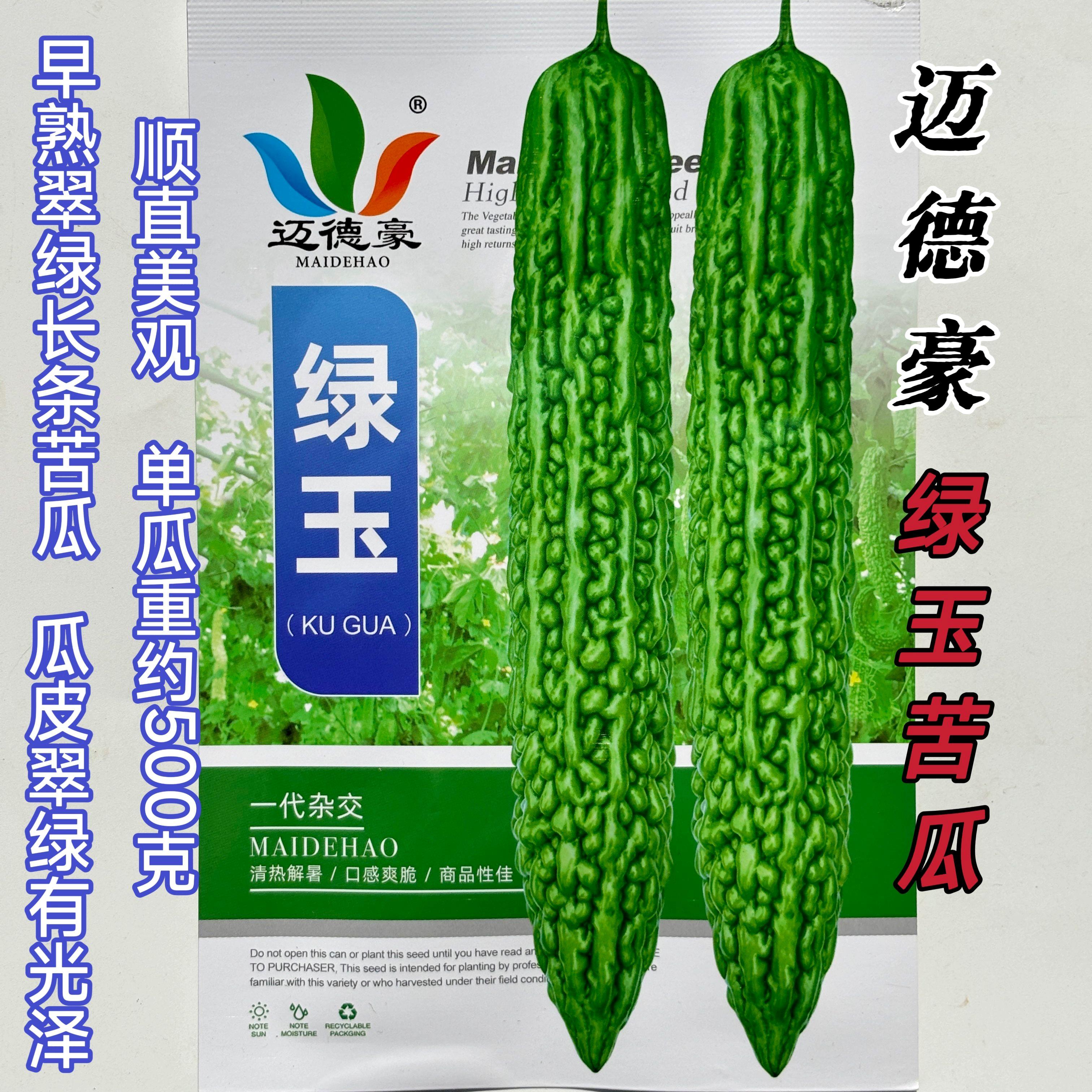 绿玉青苦瓜长绿苦瓜种子厚肉绿皮苦瓜早熟高产四季农田蔬菜种籽
