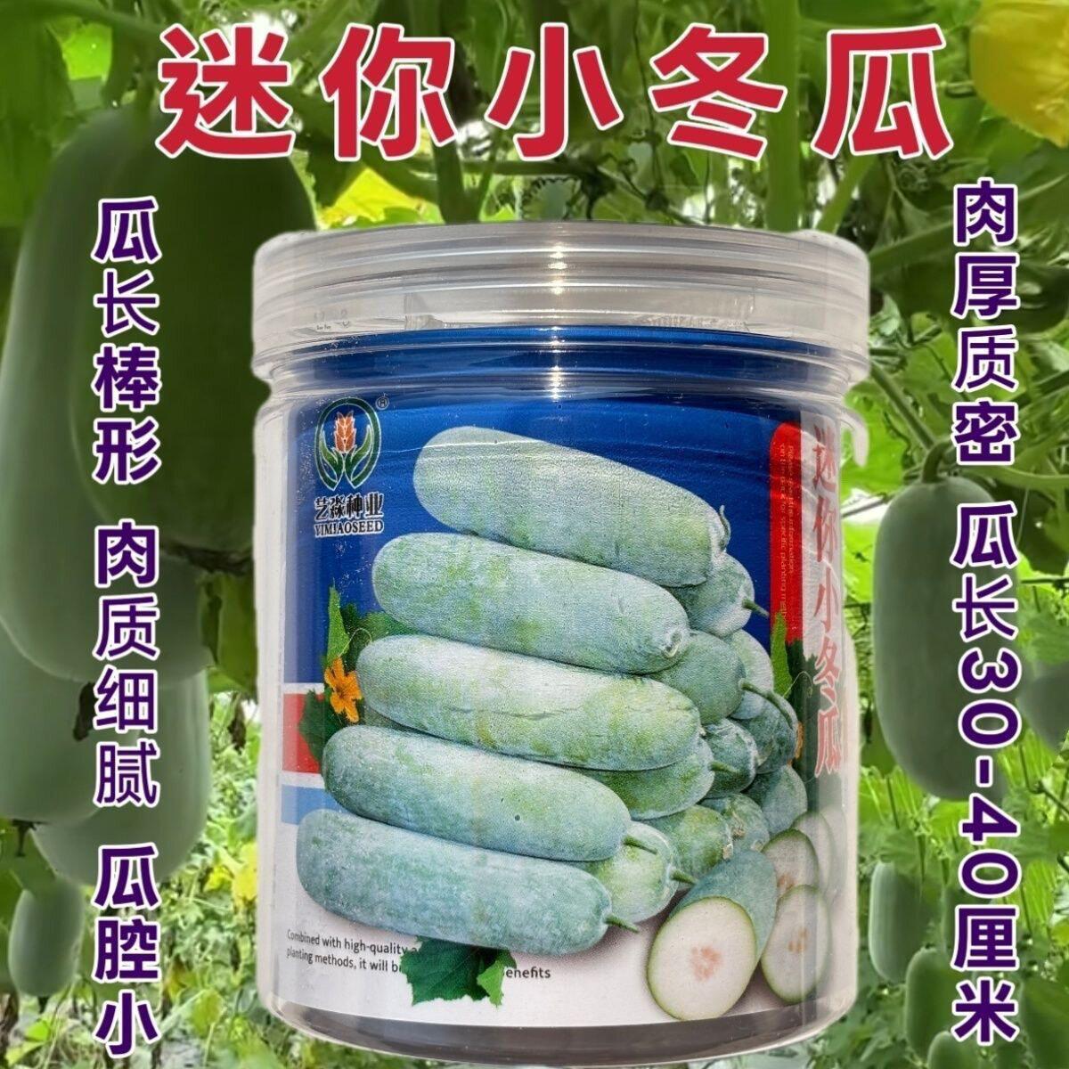 迷你小冬瓜种子粉皮铁心长棒型肉质细腻瓜腔小肉厚质密春秋栽培