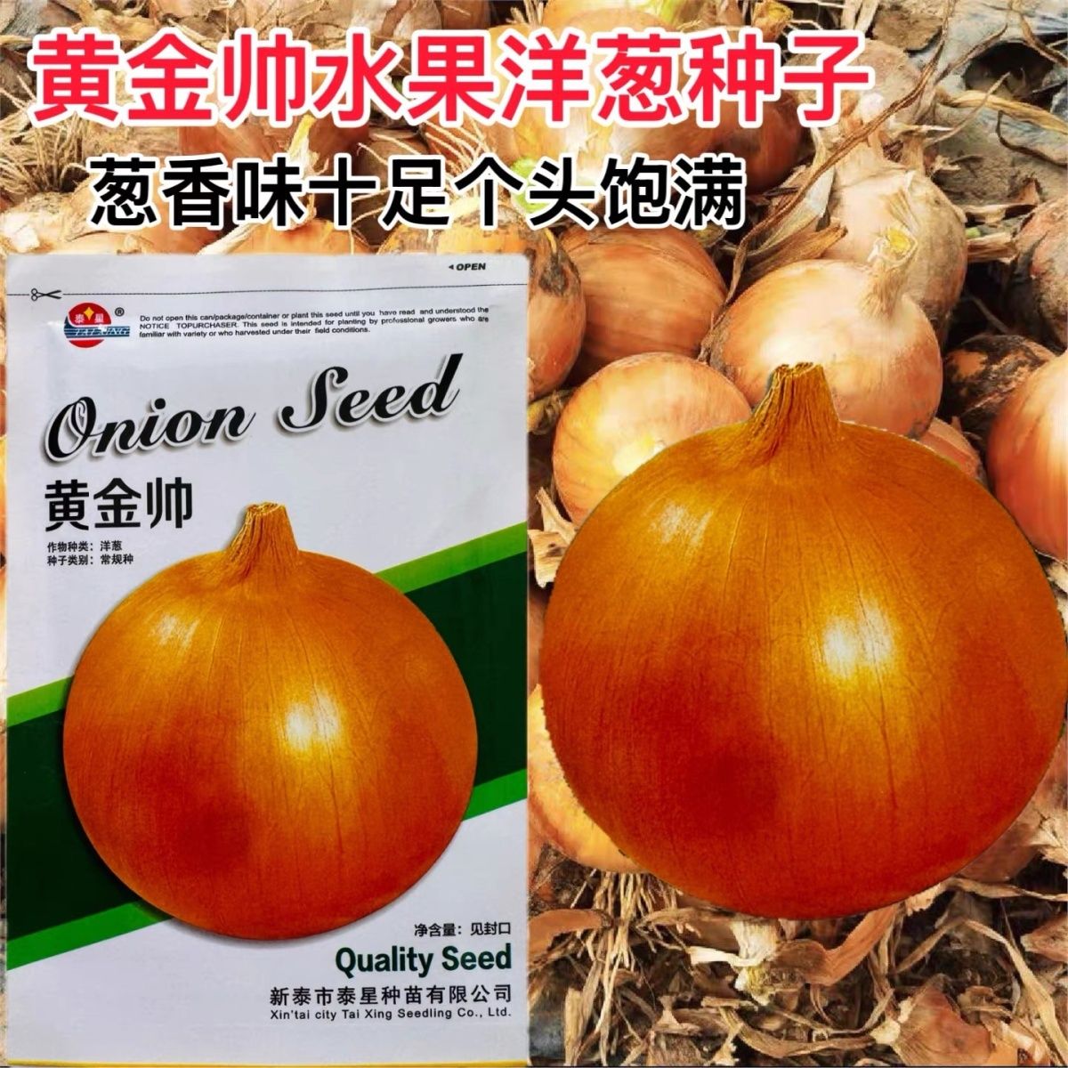黄金帅水果洋葱种籽黄皮洋葱高产抗病耐寒爽脆秋播优质洋葱种子