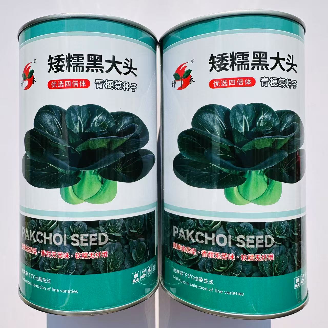 矮糯黑大头青梗菜种子束