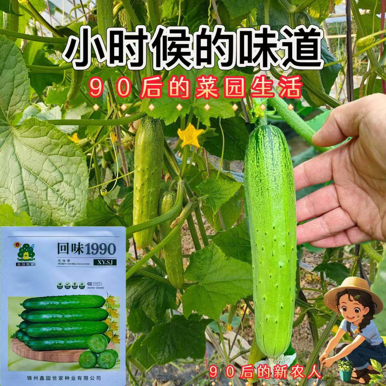 回味1990口感型黄瓜种子强雌水果黄瓜种子生吃甜嫩清香高产黄瓜种