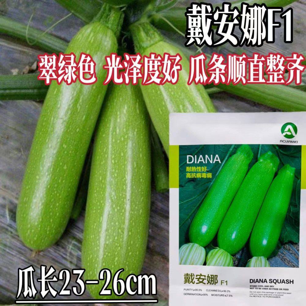 戴安娜西葫芦种子高产抗病耐寒耐热西葫芦种籽大田春夏播西葫芦籽