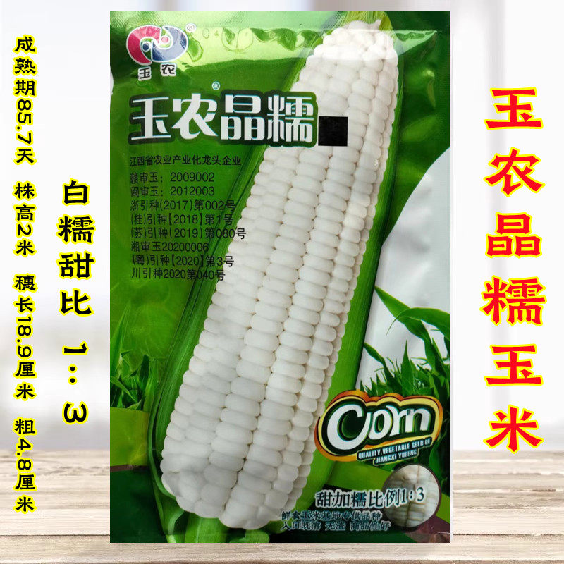 玉农晶糯玉米种子粘糯高产中熟抗病抗倒伏苞谷种籽春秋甜加糯玉米