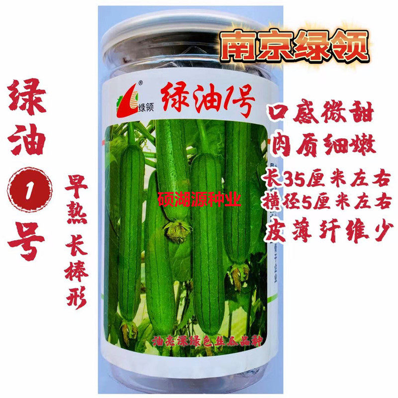 绿领绿油1号香丝瓜种子早熟高产春秋种植果皮油亮皮薄短丝瓜 种籽