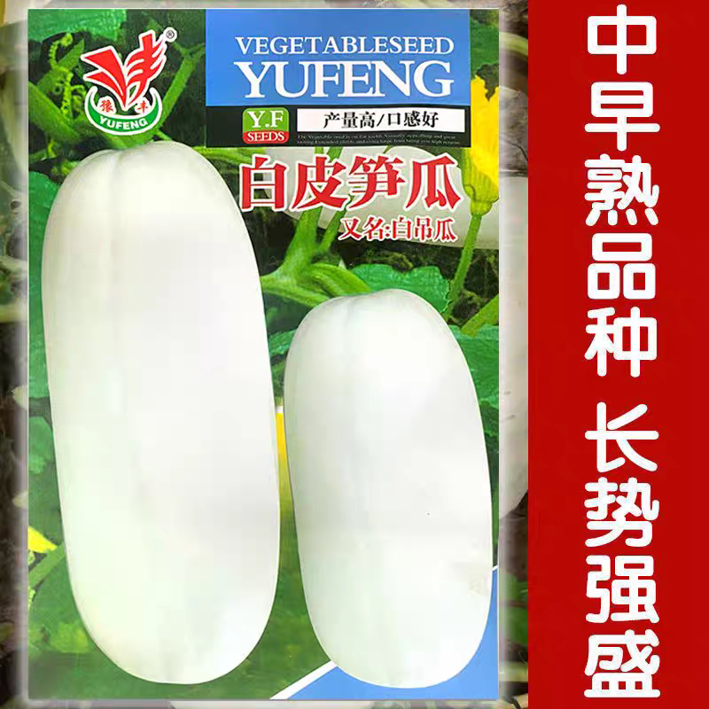 春播白皮笋瓜白吊瓜种子