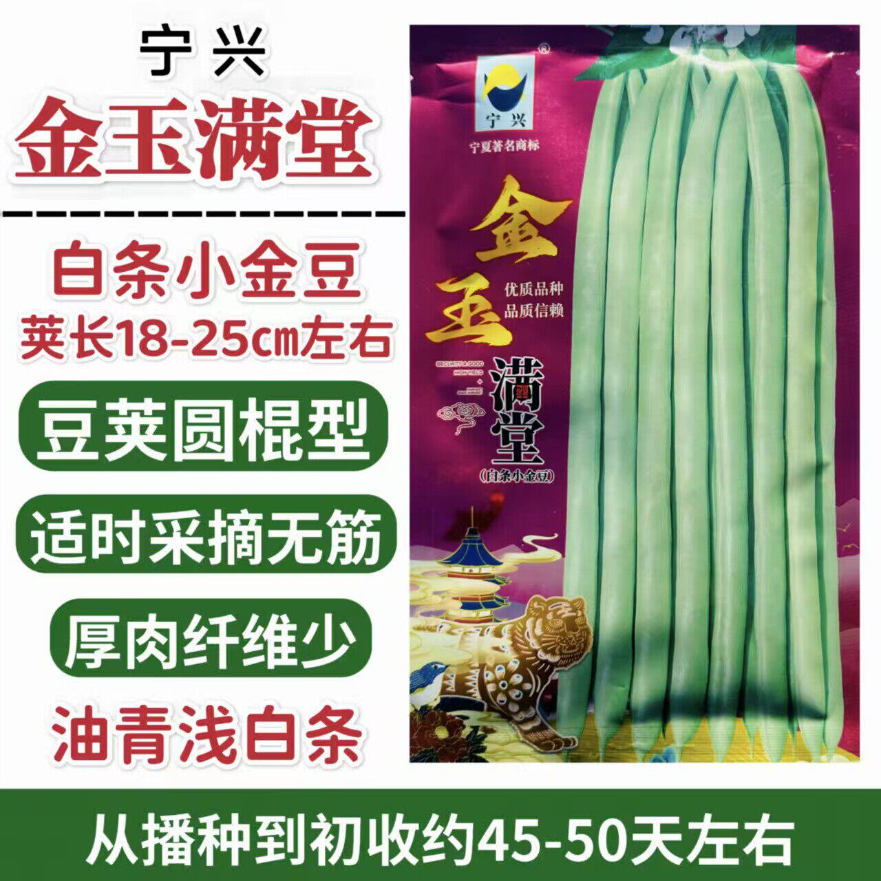 白条小金豆种子金玉满堂小金豆种子油青浅白条无筋四季豆种子春秋