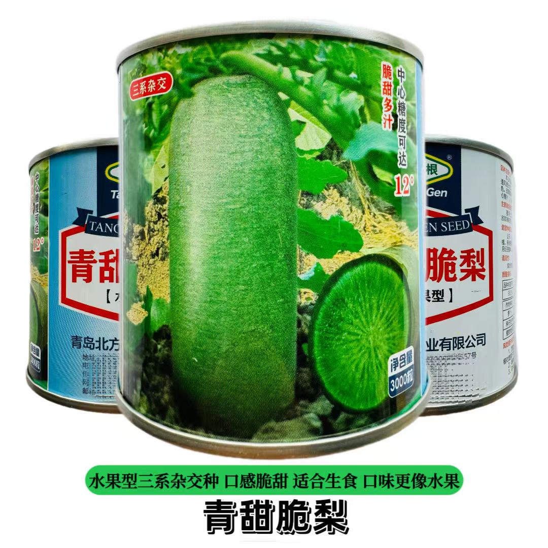 正品青甜脆梨水果型萝卜种子三系杂交翠绿脆甜多汁大青萝卜种籽
