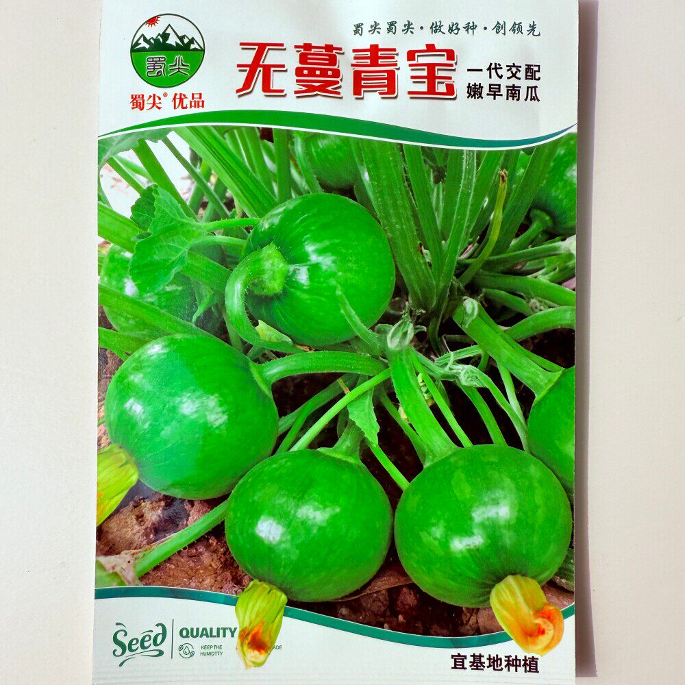 无蔓青宝南瓜种子杂交早熟瓜香味浓脆嫩清甜无蔓嫩早圆南瓜种籽孑