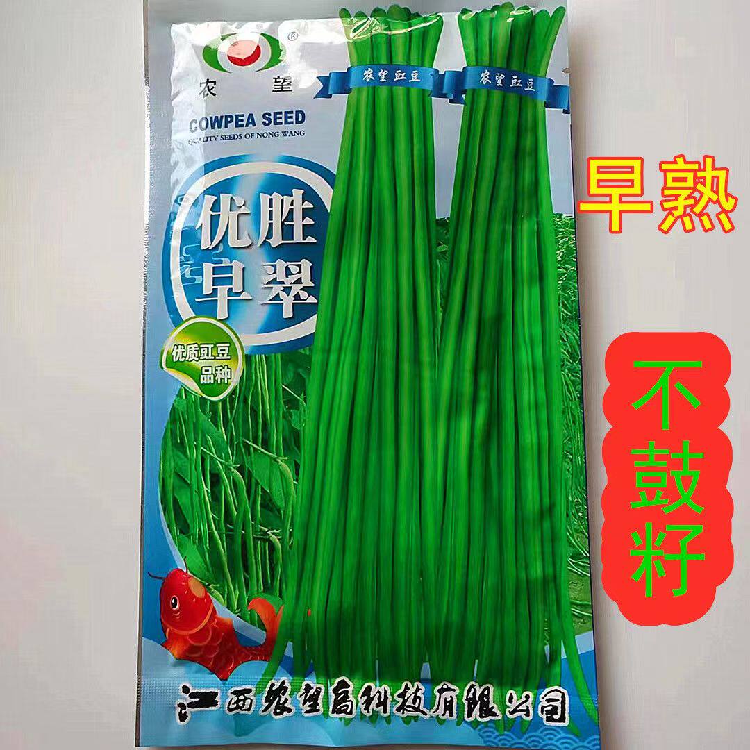 农望优胜早翠豇豆种子早熟翠绿条长豆角种籽耐热抗病早熟春夏秋季