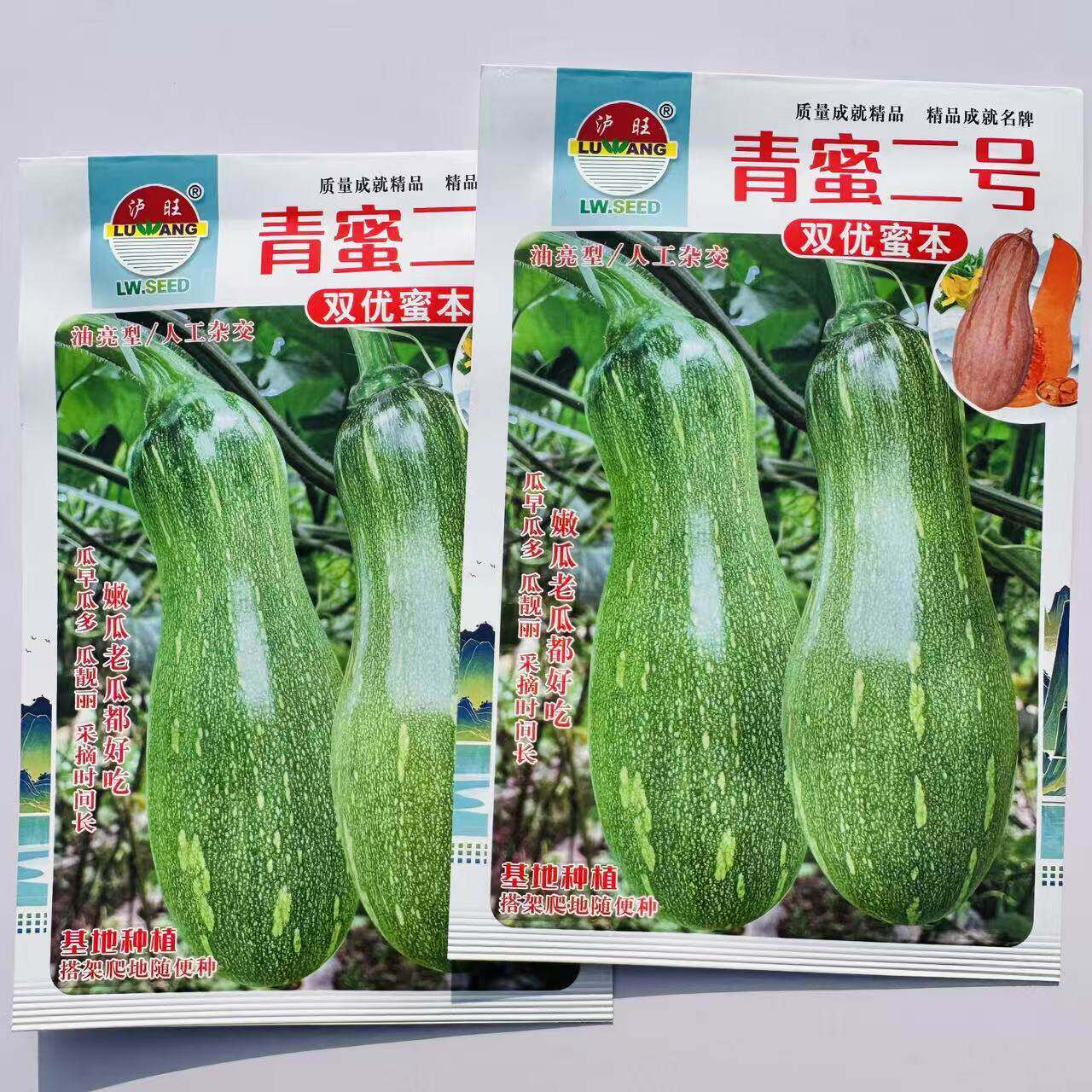 青蜜二号双优蜜本南瓜种子杂交一代吃嫩瓜老瓜种子嫩绿油亮嫩瓜种