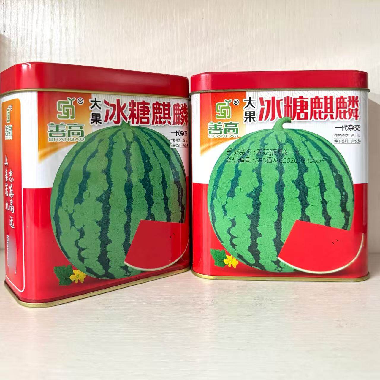 大果冰糖麒麟瓜西瓜种子早熟抗病高产善高麒麟一号西瓜籽大田用种