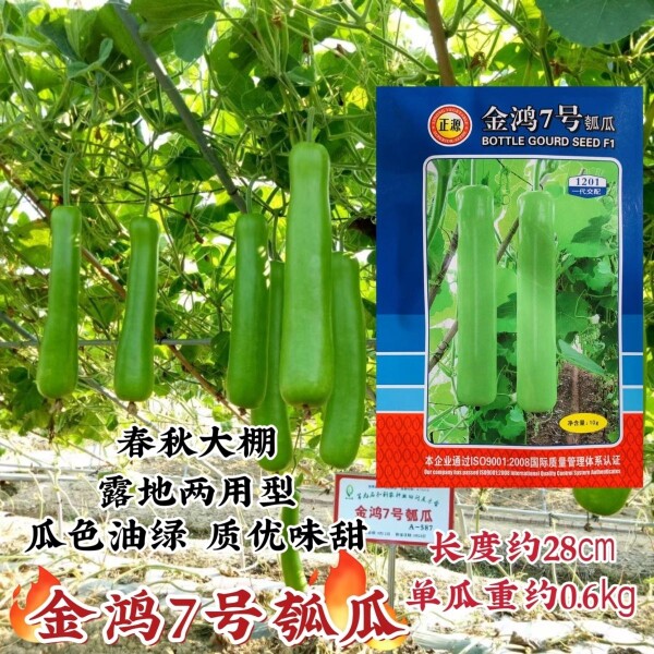 和利农 正源金鸿杂交7号瓠瓜种子长蒲瓜种籽菜葫芦小瓠子蔬菜种孑