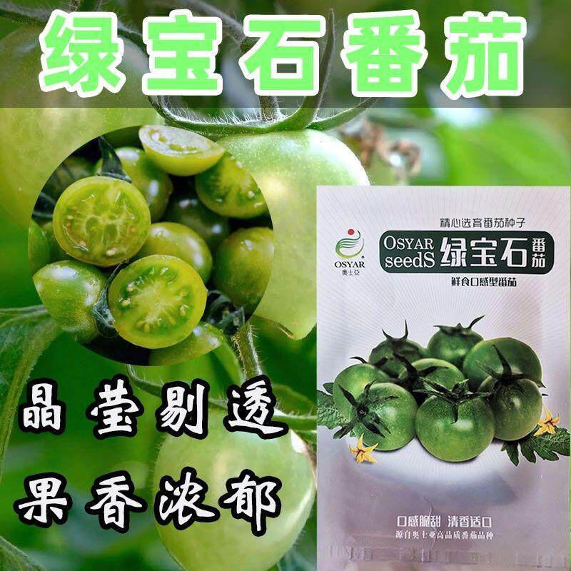 绿宝石番茄种子圣女果种