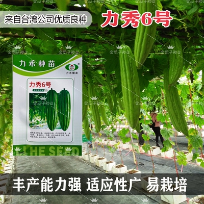力秀6号苦瓜种子籽油抗性