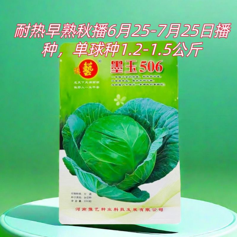 豫艺墨玉506甘蓝种子 早熟耐热圆包菜莲花白秋甘蓝种子2000粒