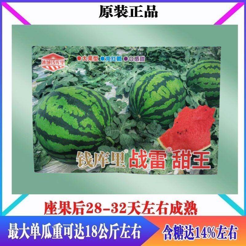 钱库里战雷甜王西瓜种子抗病高产短椭圆形耐裂西瓜种子南北方春播
