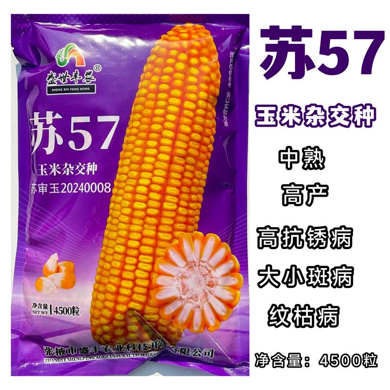 苏57高产杂交玉米种子高