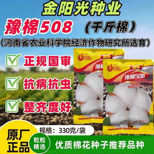 豫棉508千斤懒汉棉花种子抗虫大桃懒人棉花子棉铃重茬新疆棉籽孑