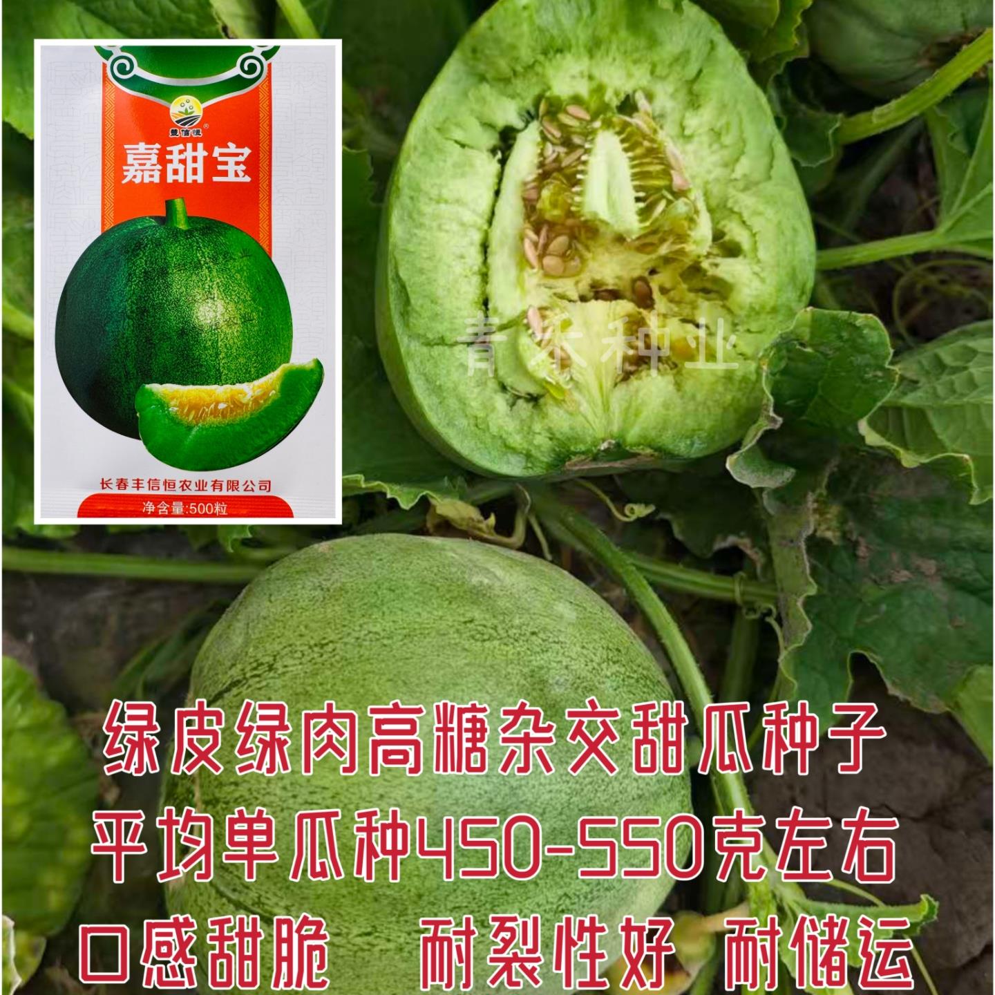 甜瓜种子绿皮绿肉高糖甜宝种籽农家春秋播口感甜脆酥瓜种孑