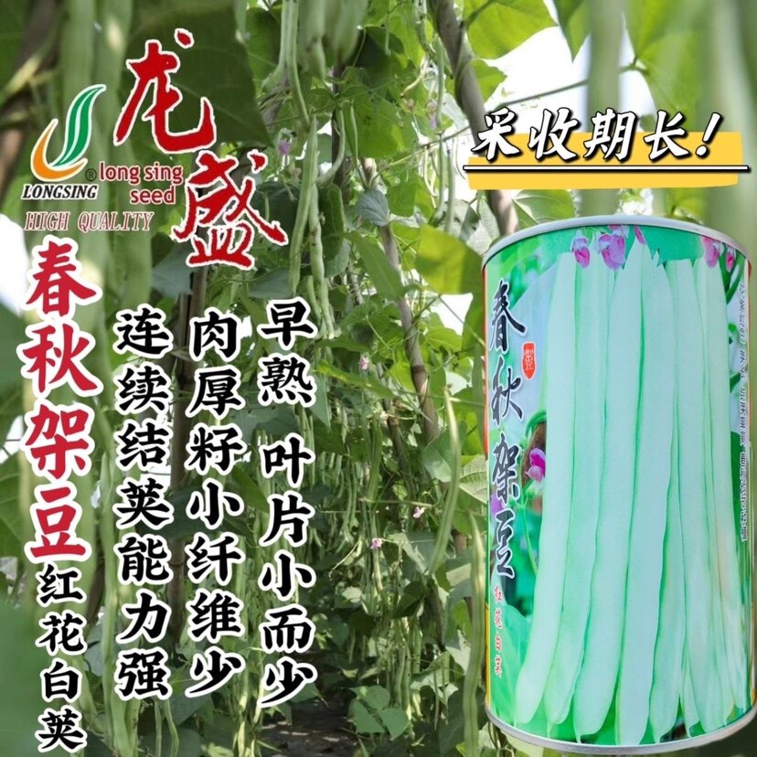 龙盛春秋架豆种子红花白
