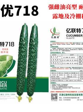 亿联特亮优718黄瓜种子强雌油亮型耐高温把短绿肉密刺无棱无黄线