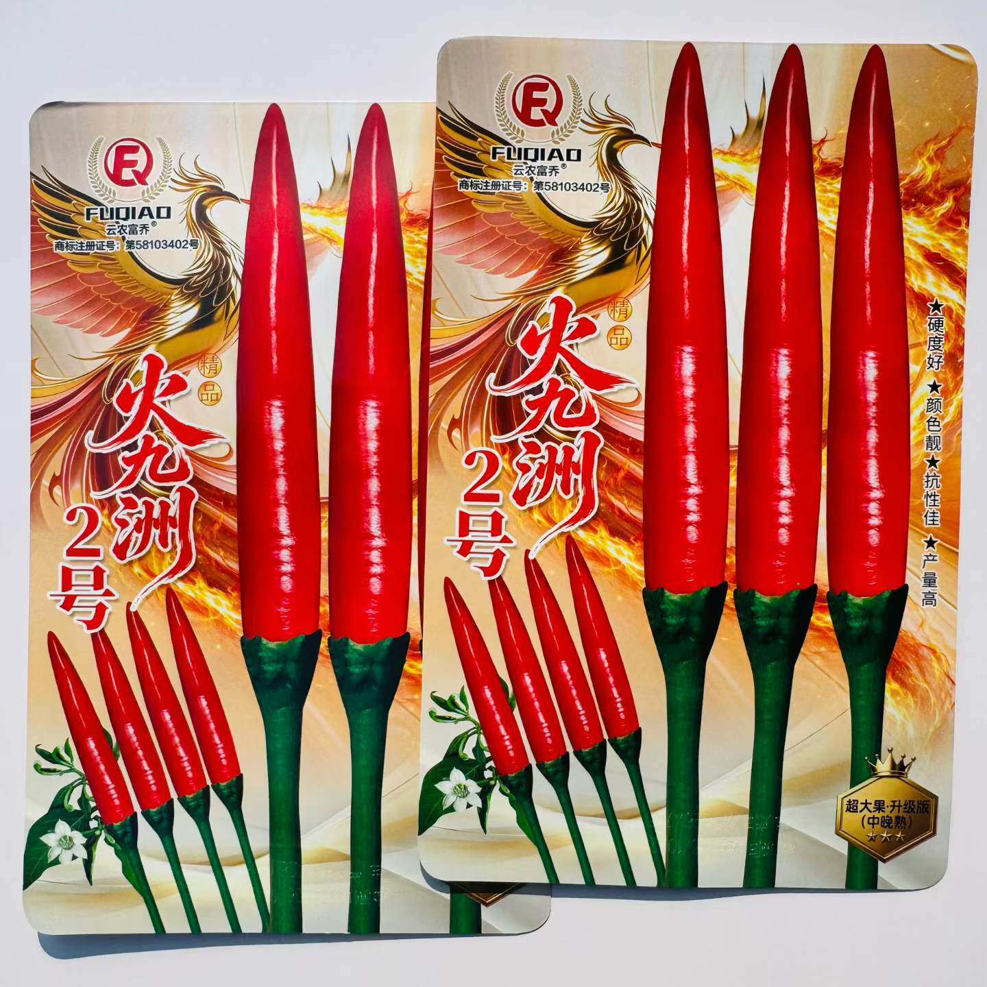 火九洲2号朝天椒种子特高产改良大果型朝天椒耐寒抗病中晚熟辣椒