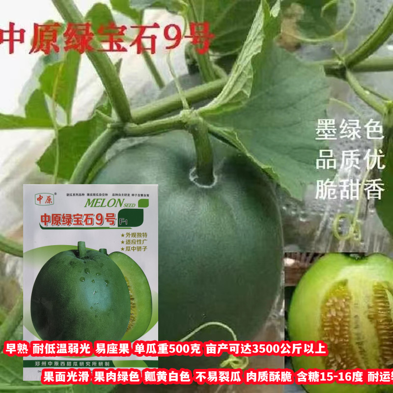 中原绿宝石9号甜瓜种子绿皮绿肉薄皮香瓜种籽春季播香甜水果瓜籽