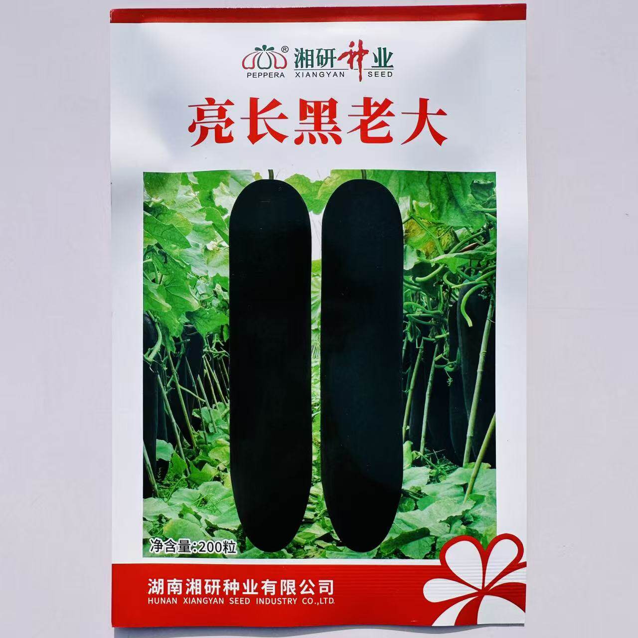 亮长黑老大黑皮冬瓜种子种籽苗特大巨型黑皮蔬菜孑东瓜蔬莱春天菜