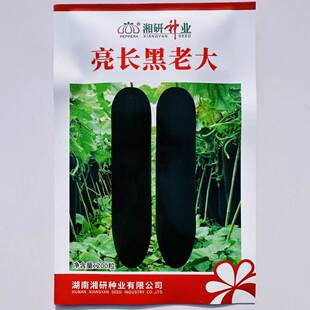 亮长黑老大黑皮冬瓜种子种籽苗特大巨型黑皮蔬菜孑东瓜蔬莱春天菜