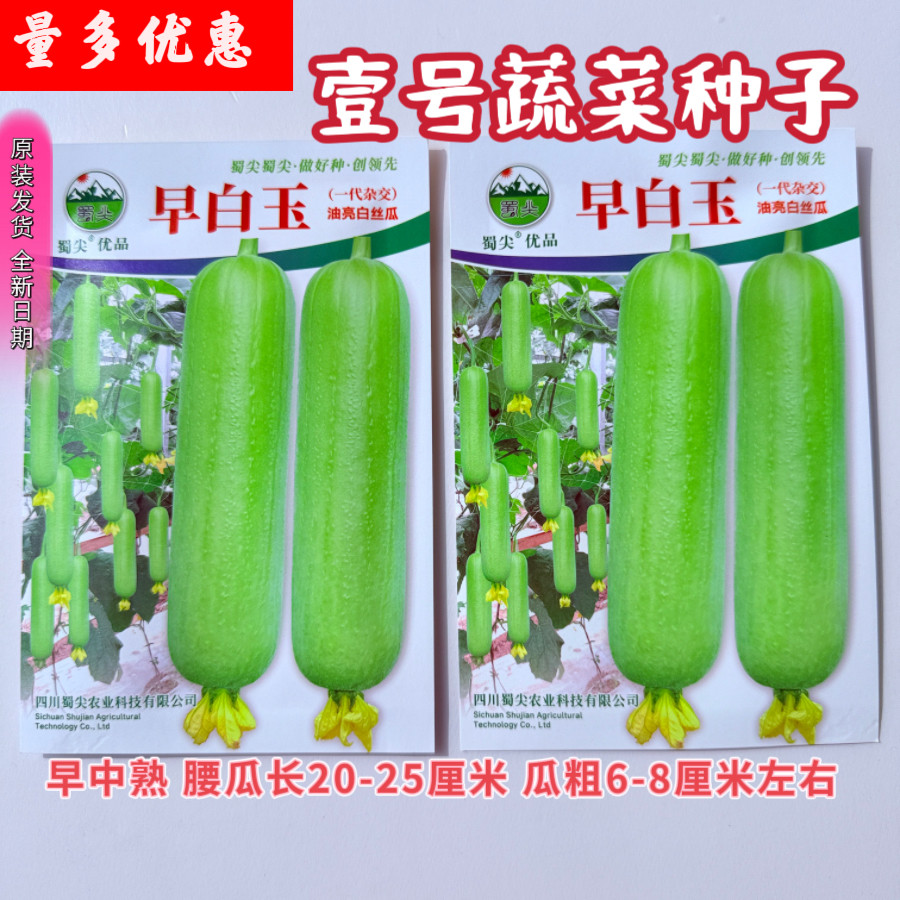 早白玉白丝瓜种子早熟高产抗病白皮白肉丝瓜种籽农家大田蔬菜种孑