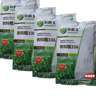 农科糯336玉米种子 甜加糯国审鲜食包谷甜糯粒1比3华奥种籽