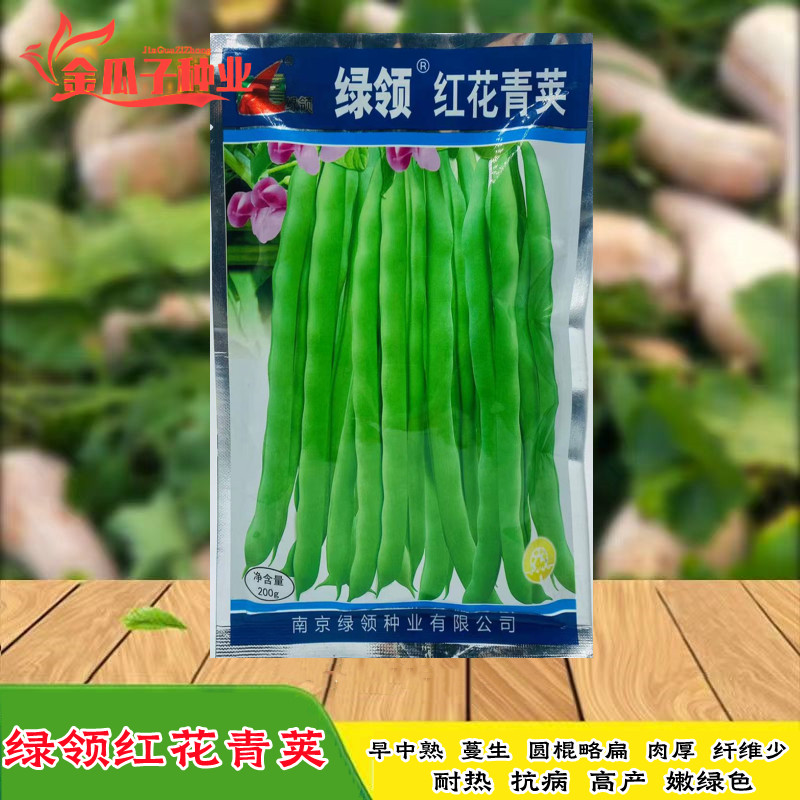 绿领红花青荚四季豆种子无筋架豆王豆角种子菜豆豇豆特长芸豆种子