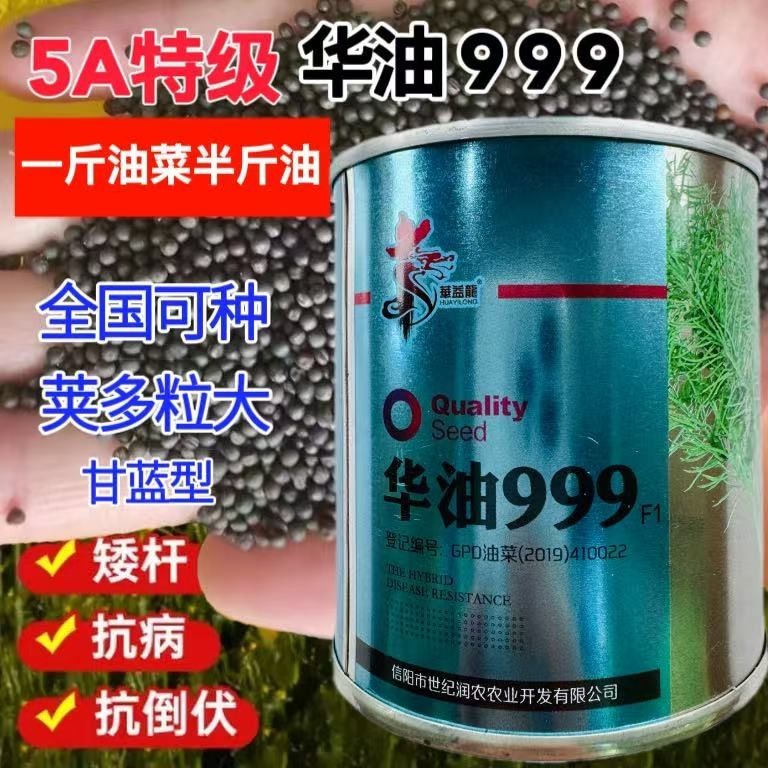 华油999油菜种子 早熟高出油抗倒钢杆大籽粒菜籽秋冬季油菜花种籽