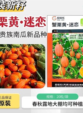 蟹栗黄迷恋南瓜种子红皮贵族南瓜红瓤肉厚南瓜粉面细糯香甜口感好