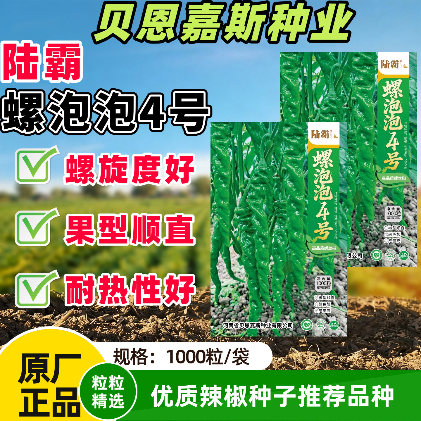 螺泡泡4高品质螺丝椒种子螺旋度好果型顺直耐热性好薄皮