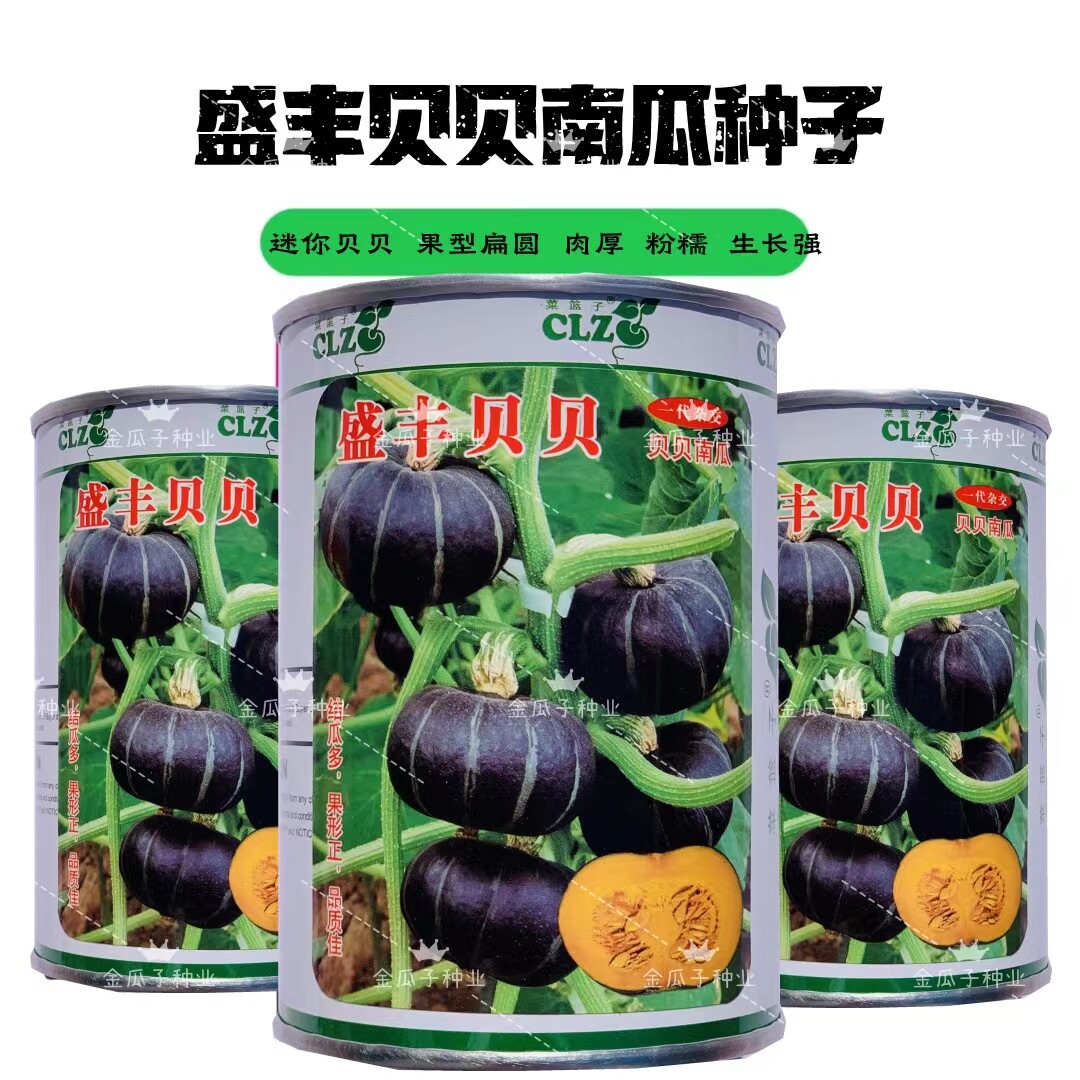 盛丰贝贝南瓜种子板栗南瓜种籽