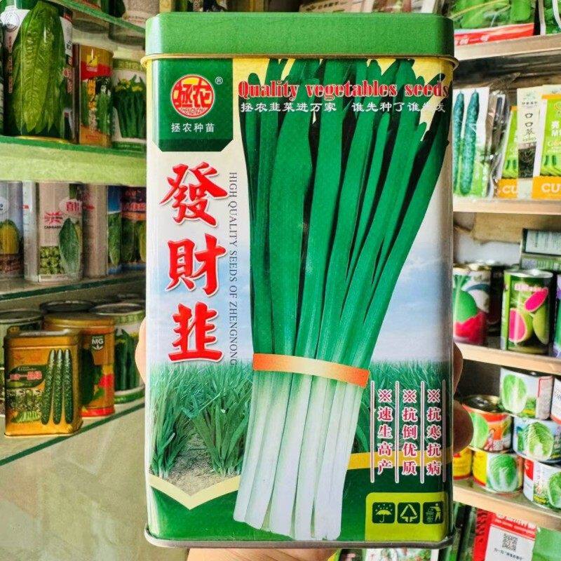 拯农发财韭韭菜种籽高产耐寒抗倒伏不休眠宽叶白根雪韭韭菜种子